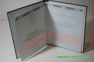 Купить диплом ИБЭ в Красноярске — Института бизнеса и экономики